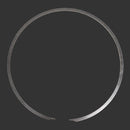 RFE-SNR-4TH UD/OD Reaction Plate Flat Replacement Retaining Ring